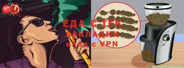индика Абаза