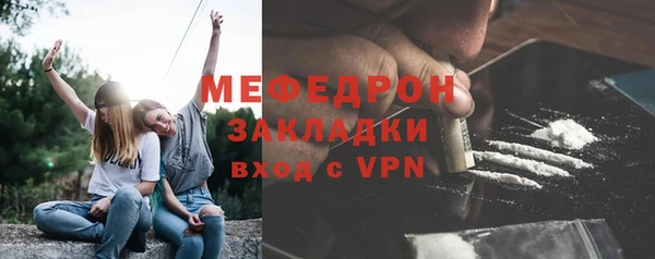 индика Абаза