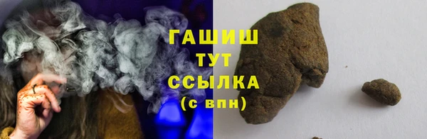 индика Абаза