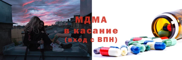 индика Абаза