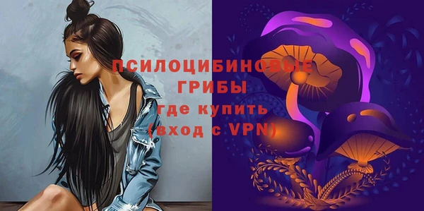 соль ск Абинск