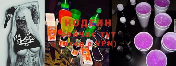 индика Абаза