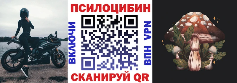 Псилоцибиновые грибы MAGIC MUSHROOMS  купить наркотики сайты  Плавск 
